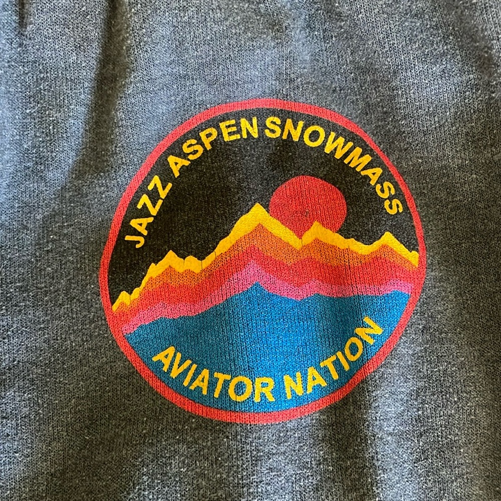 Grey Aviator Nation Aspen Sweatpants